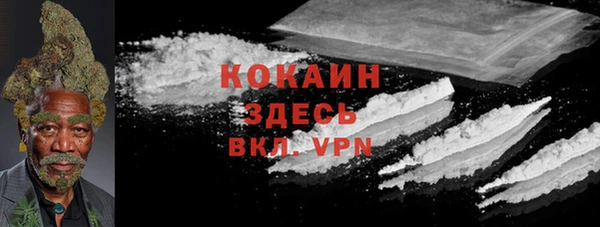 молекула духа Кинешма