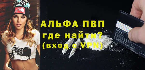стаф Коряжма