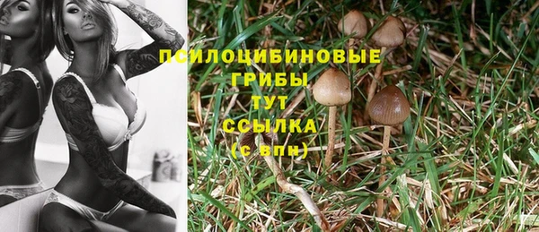 метадон Рославль