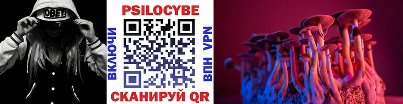 блэк спрут как войти Кедровый darknet формула Псилоцибиновые грибы GOLDEN TEACHER